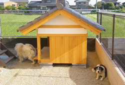 犬小屋